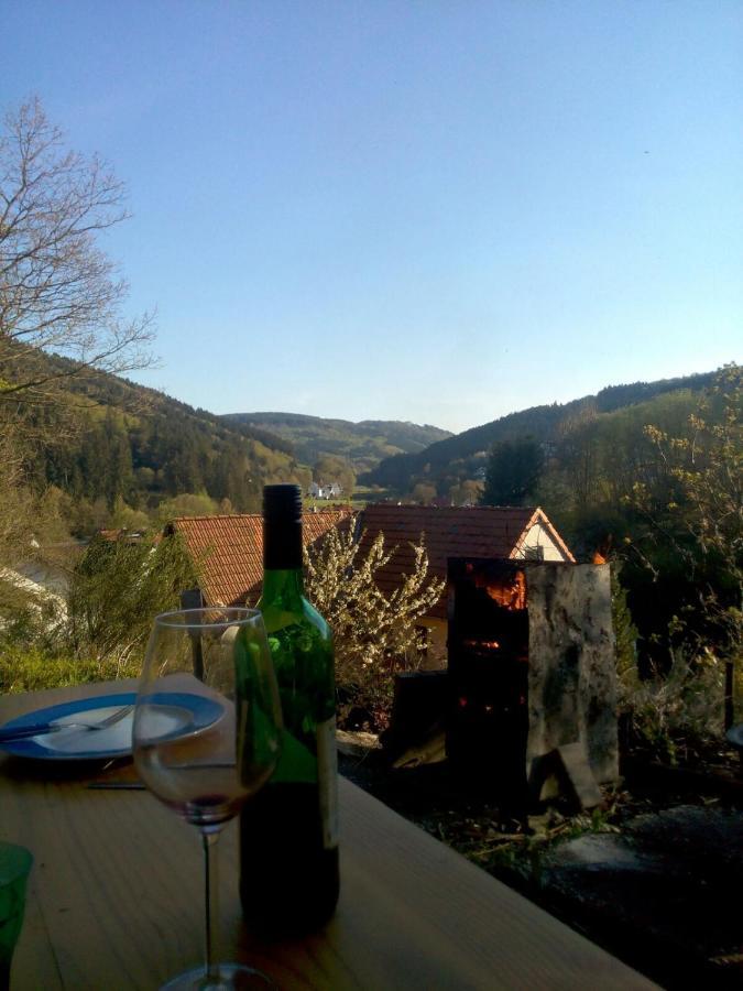 ברילון Fewo Pacohaus Naehe Willingen Diemelsee מראה חיצוני תמונה