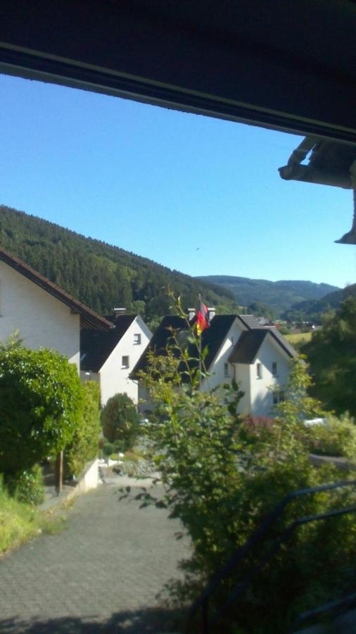 ברילון Fewo Pacohaus Naehe Willingen Diemelsee מראה חיצוני תמונה