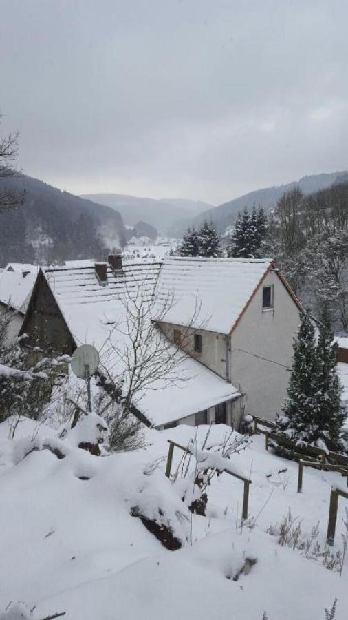 ברילון Fewo Pacohaus Naehe Willingen Diemelsee מראה חיצוני תמונה