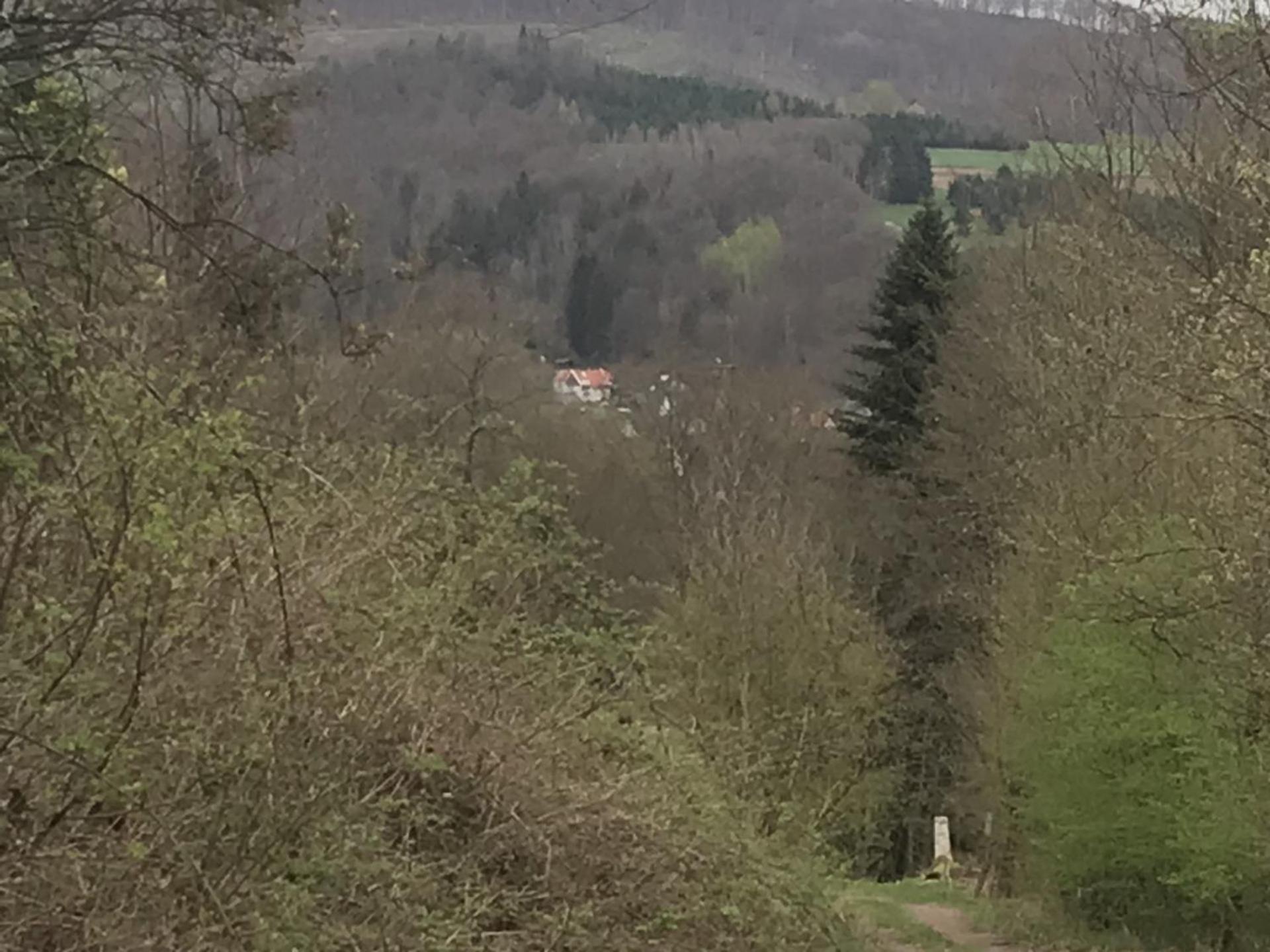ברילון Fewo Pacohaus Naehe Willingen Diemelsee מראה חיצוני תמונה