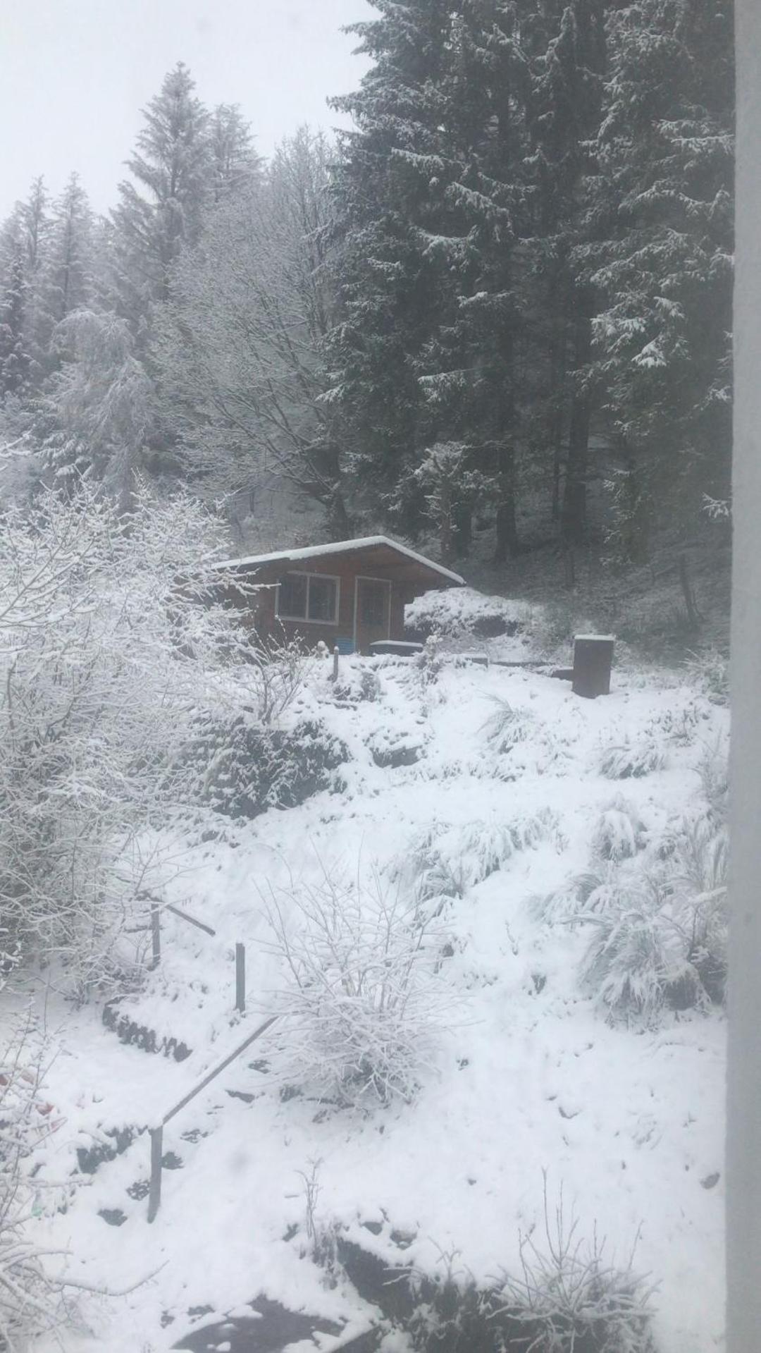 ברילון Fewo Pacohaus Naehe Willingen Diemelsee מראה חיצוני תמונה